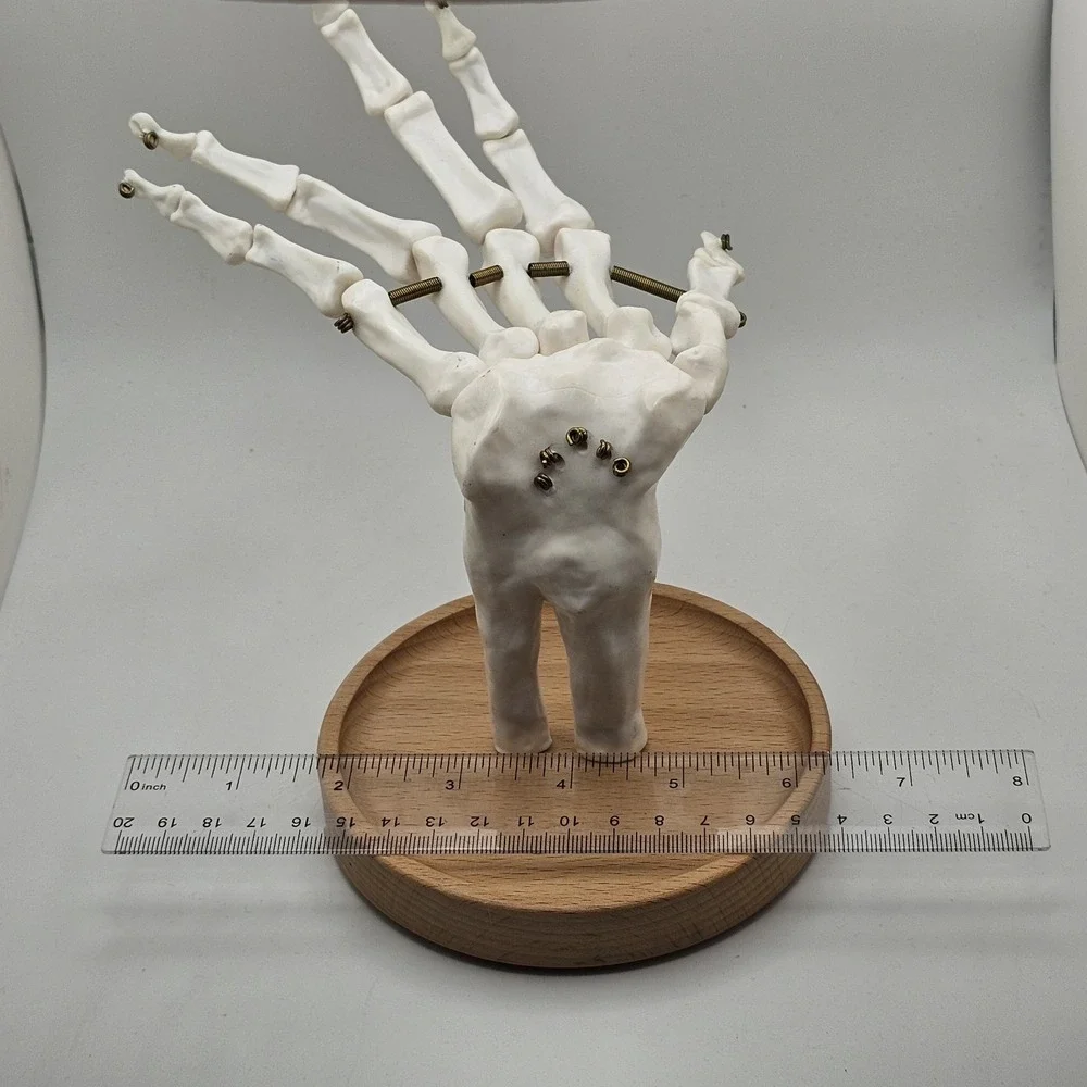 Suck UK Skeleton Hand Jewelry Tidy Holder Organizer Halloween